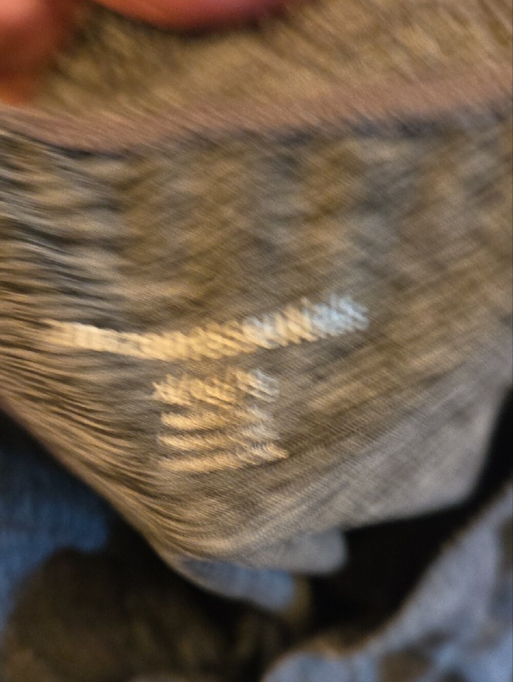 Gray Heather Jogger Pants - Xl - Picture 3 of 4